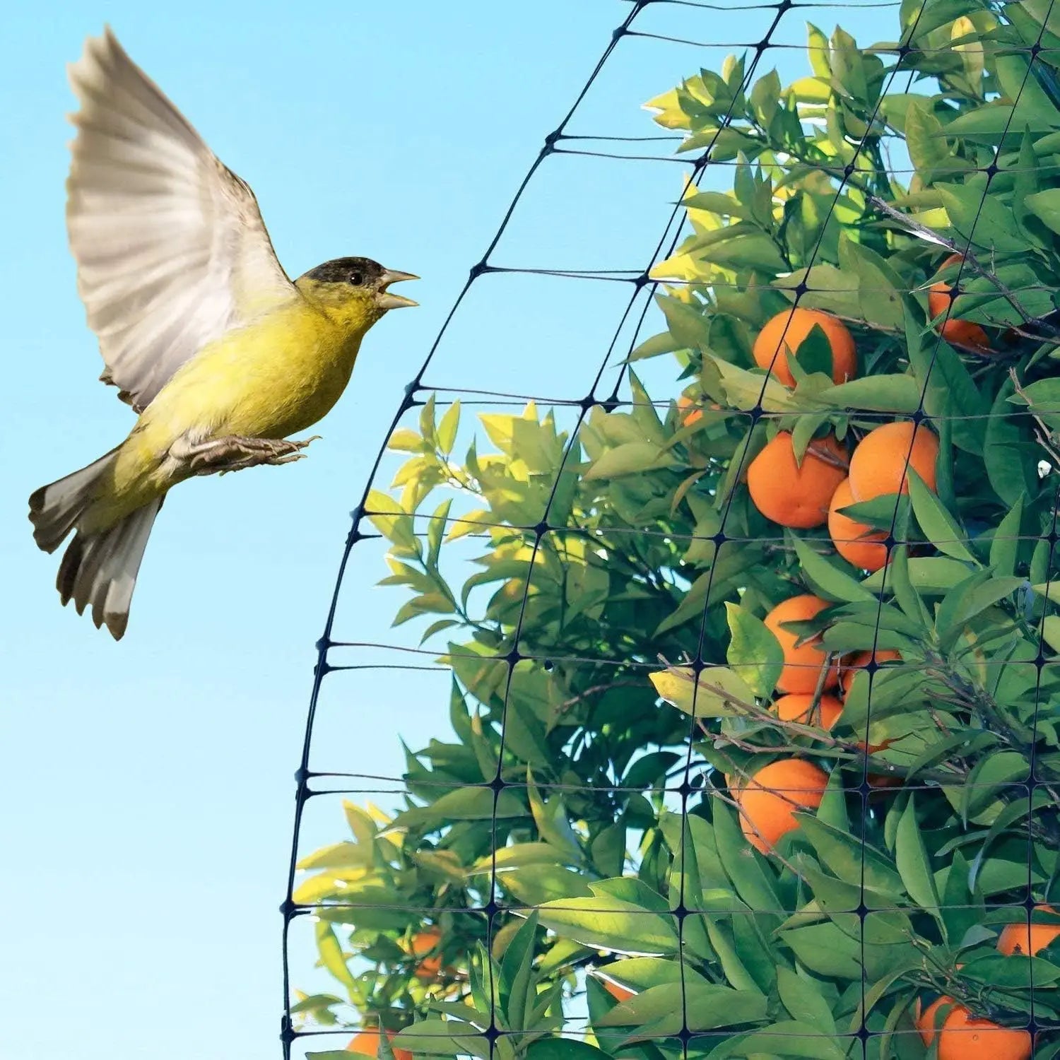 GardenGuard Netting | Durable Protective Fence for Plants