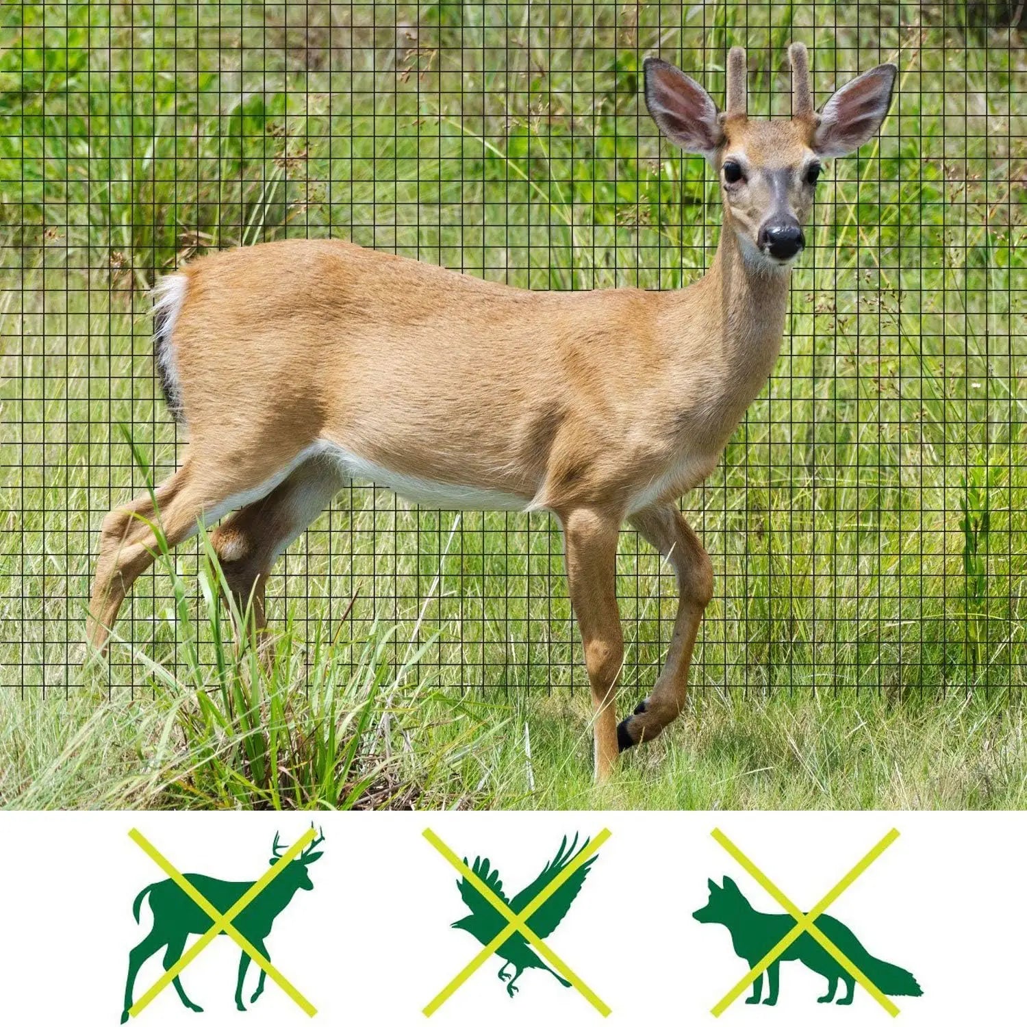 GardenGuard Netting | Durable Protective Fence for Plants