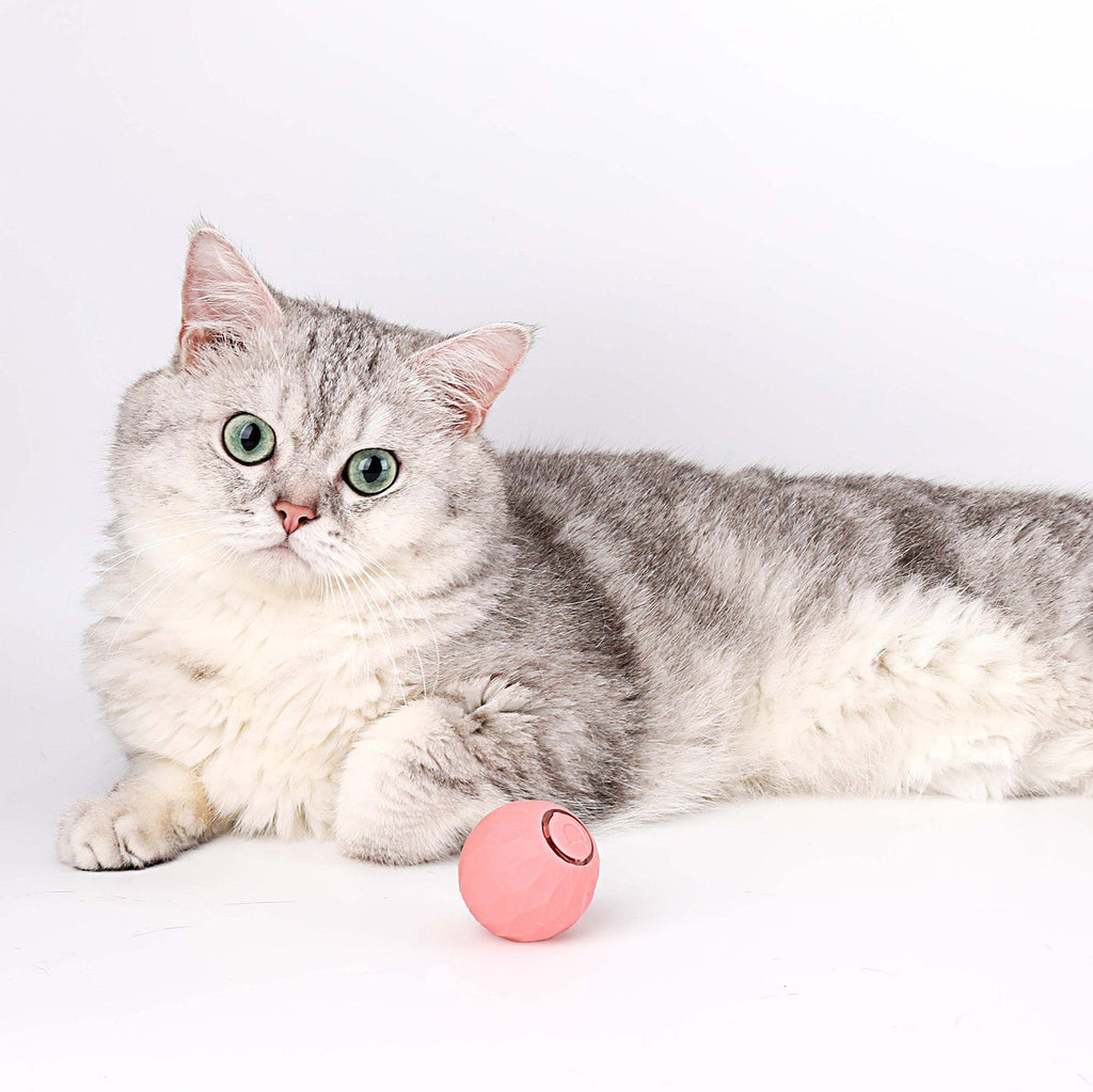 Cat Toy | Interactive Self-Rolling Ball