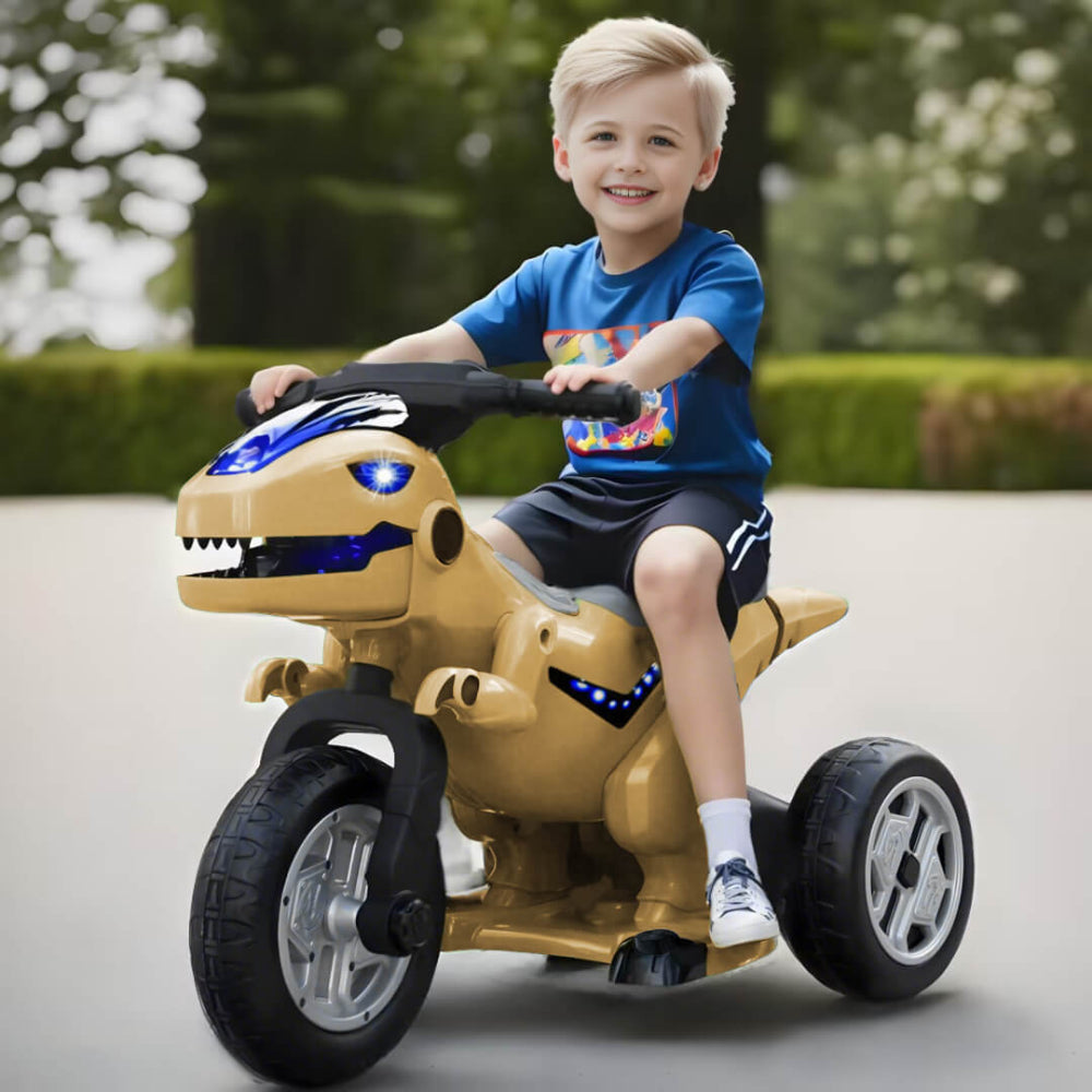 Electric Dinosaur Ride On Toy Christmas Gift