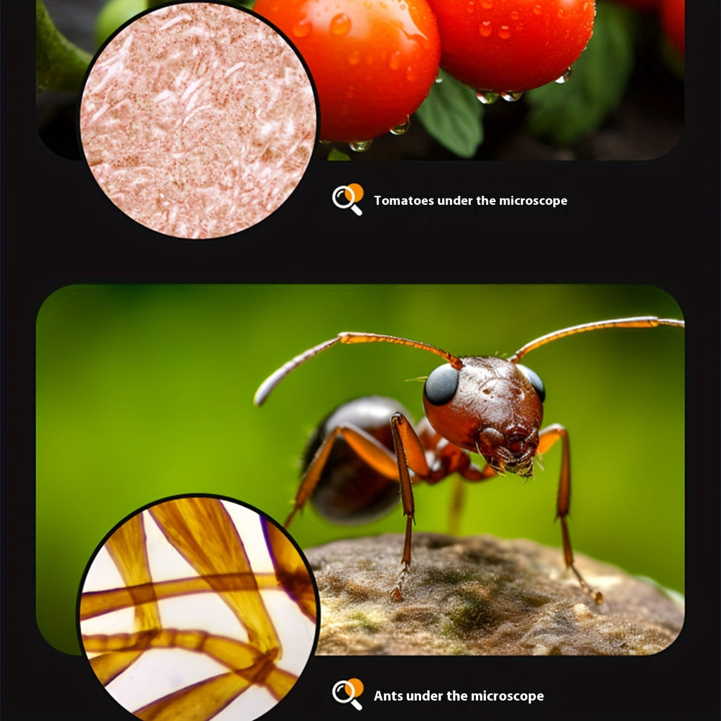 Mini Microscope with LED Light for Kids