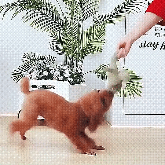 Dog Chew Toy Plush Durable Squeaky Animal