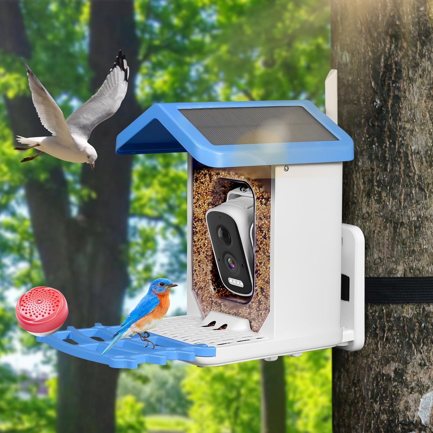 Bird Feeder Camera Solar Smart Wireless Outdoor