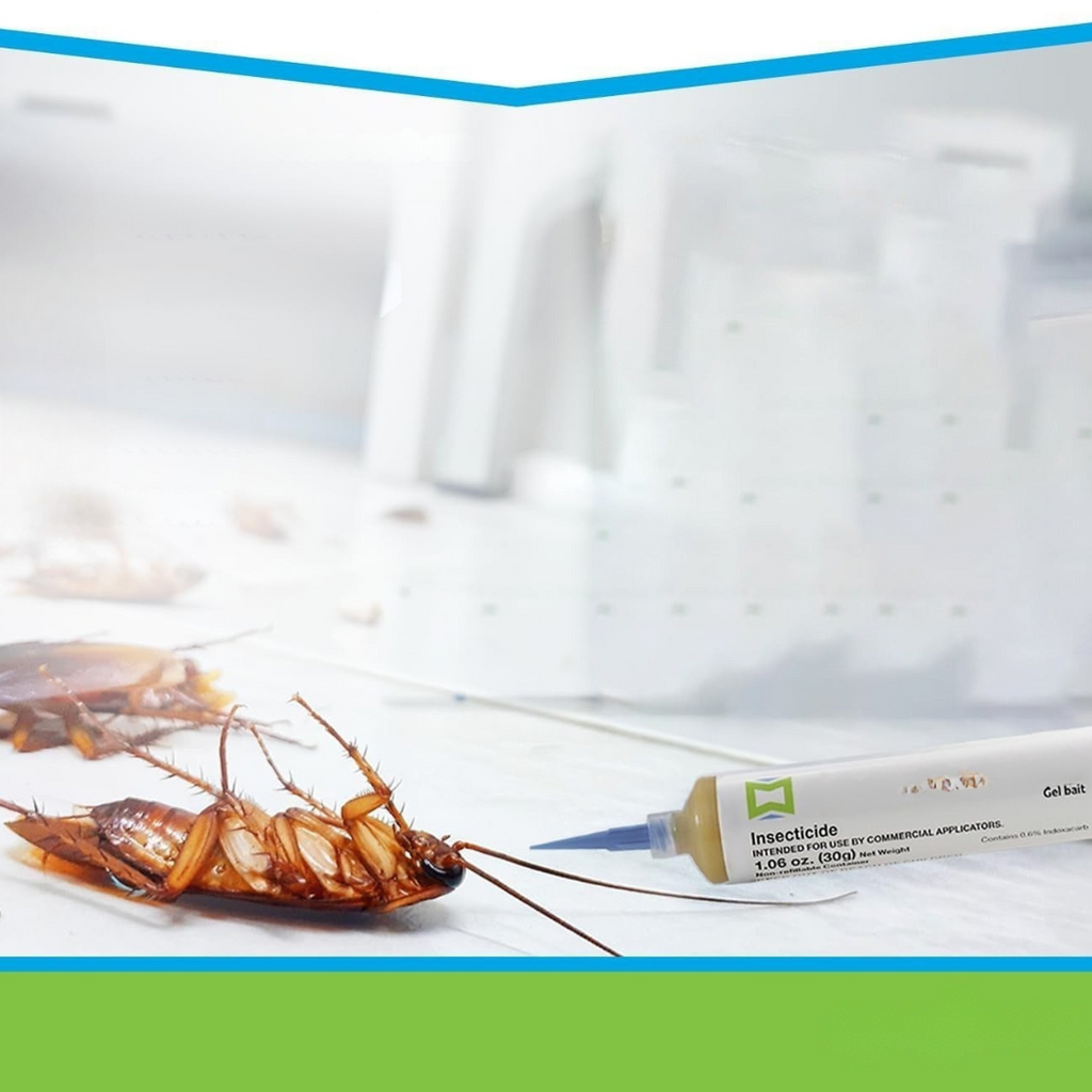 Pest Control Gel Safe Indoor Roach Killer