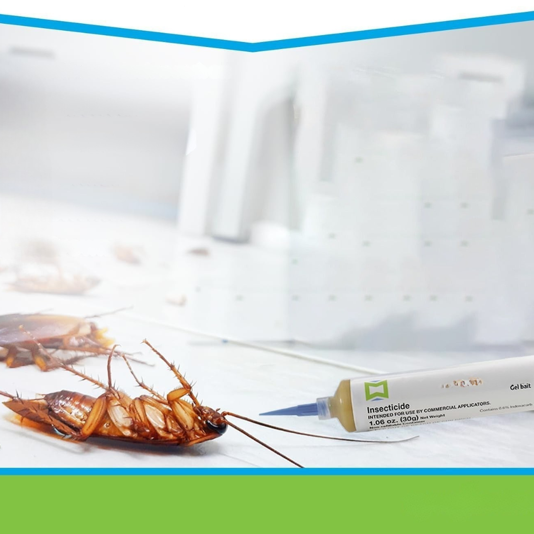 Pest Control Gel Safe Indoor Roach Killer