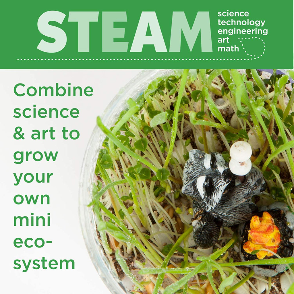 Plant Growing Kit Colourful Terrarium Set