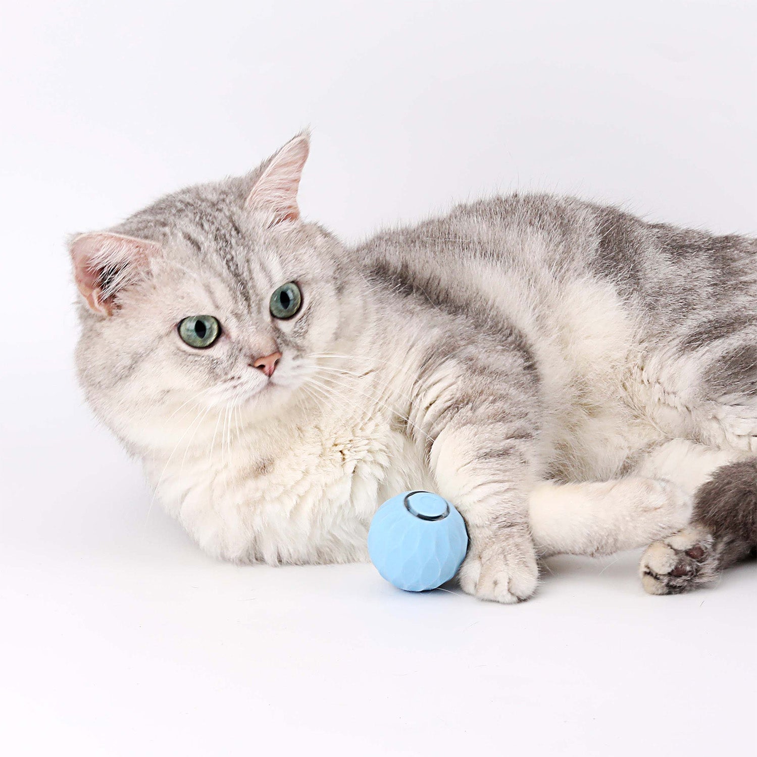 Cat Toy | Interactive Self-Rolling Ball