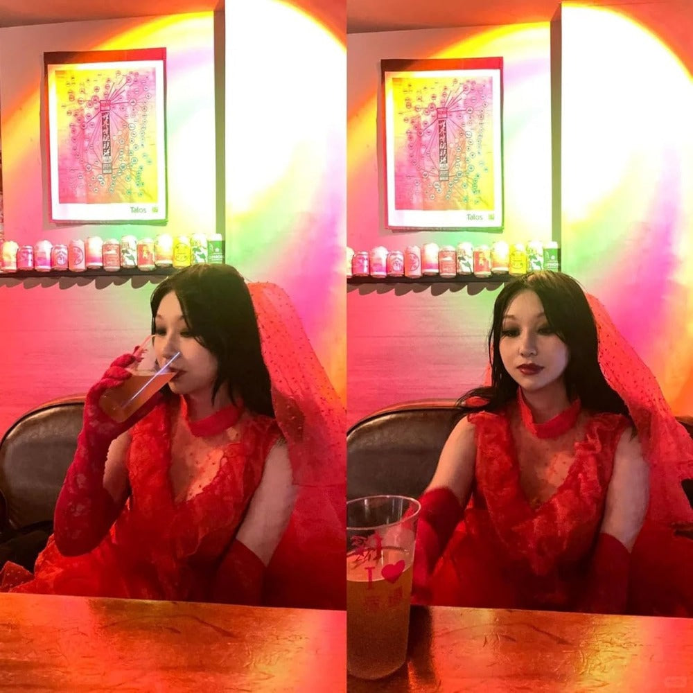 Halloween Red Lace Gothic Costume Dress