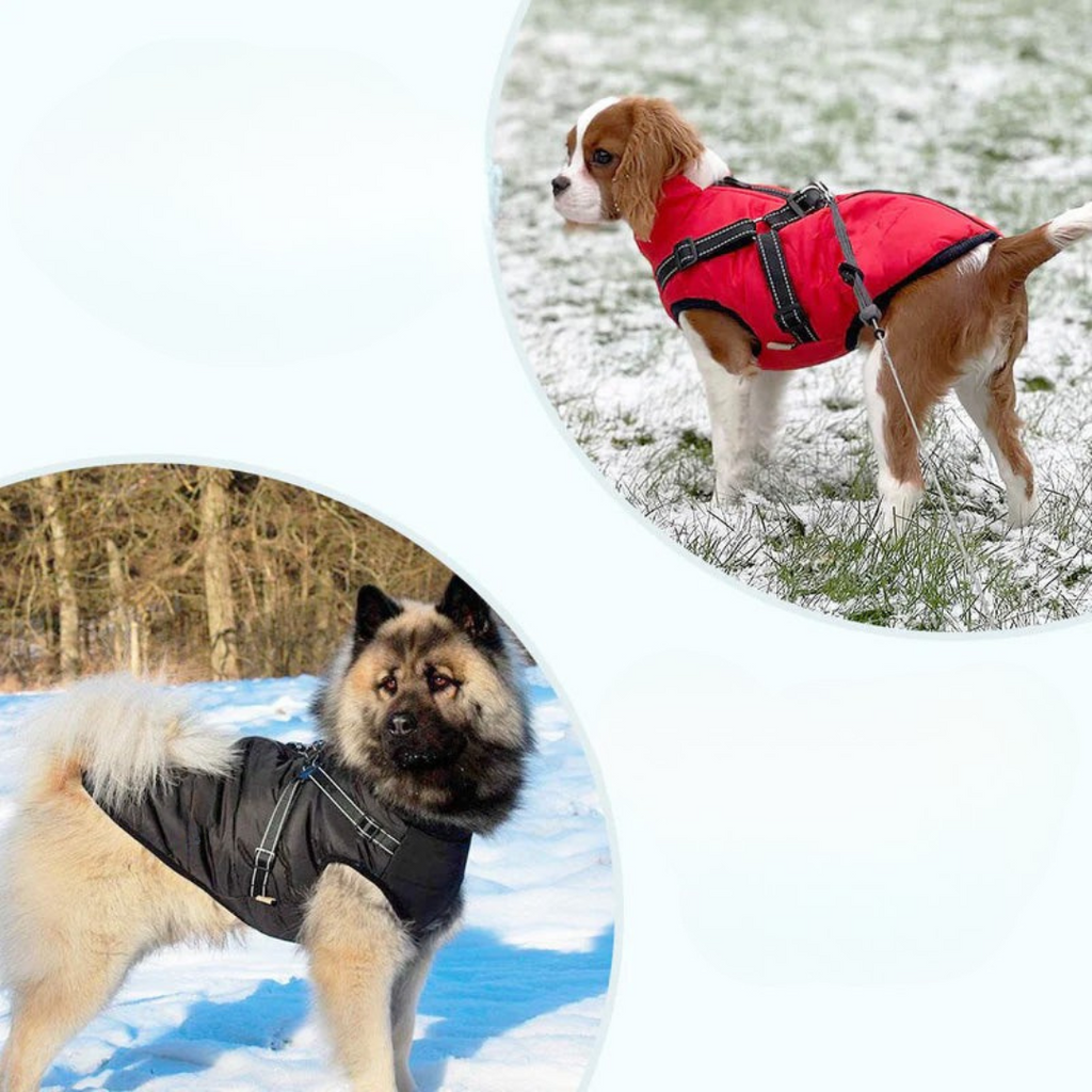 Dog Coat Waterproof Fleece Jacket with Harness