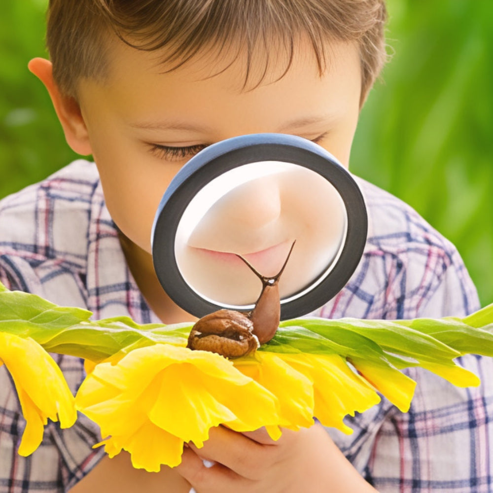 Magnifying Glass LED Light Handheld Reading Tool