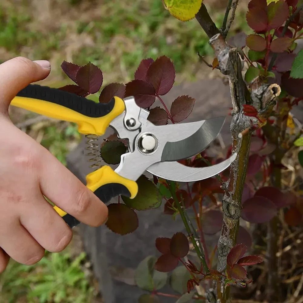 PrecisionCut Pruning Shears | Stainless Steel Garden Scissors for Trimming