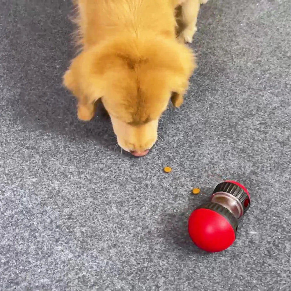 Dog Puzzle Toy with Slow Feeder Design