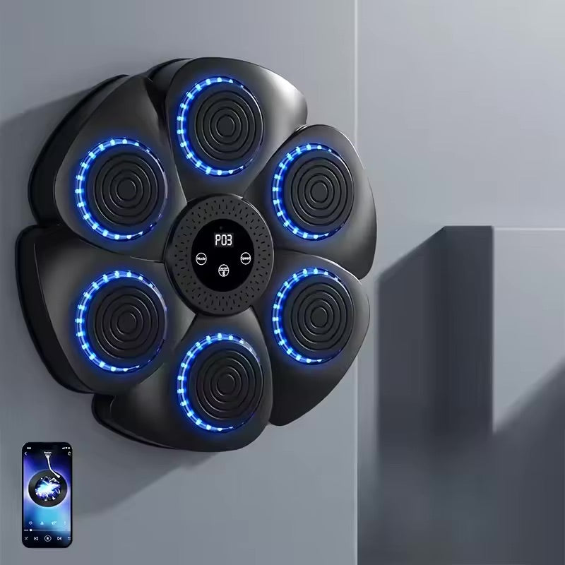 Home Boxing Wall Trainer with Bluetooth Music
