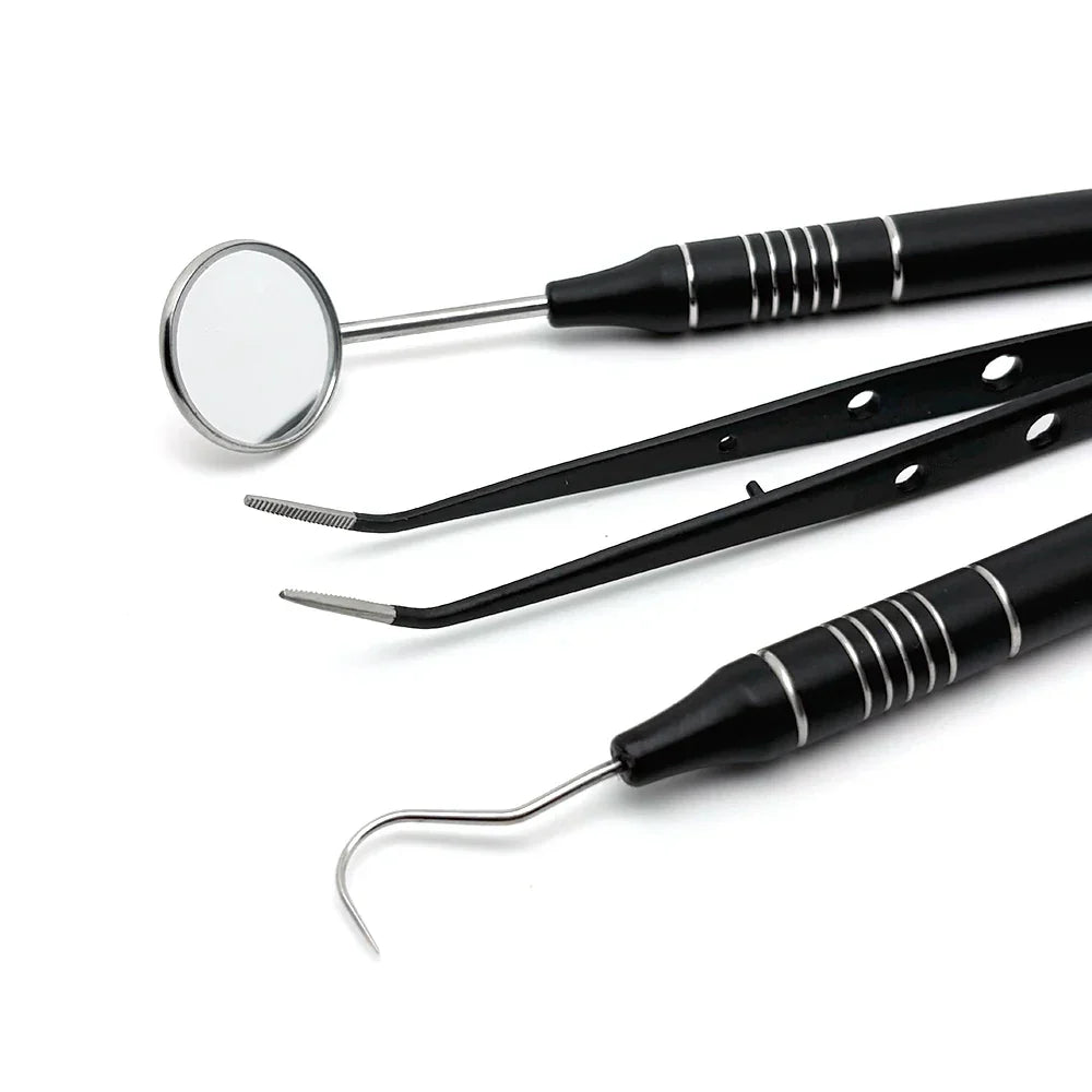 Teeth Cleaning Kit with Steel Dental Tools