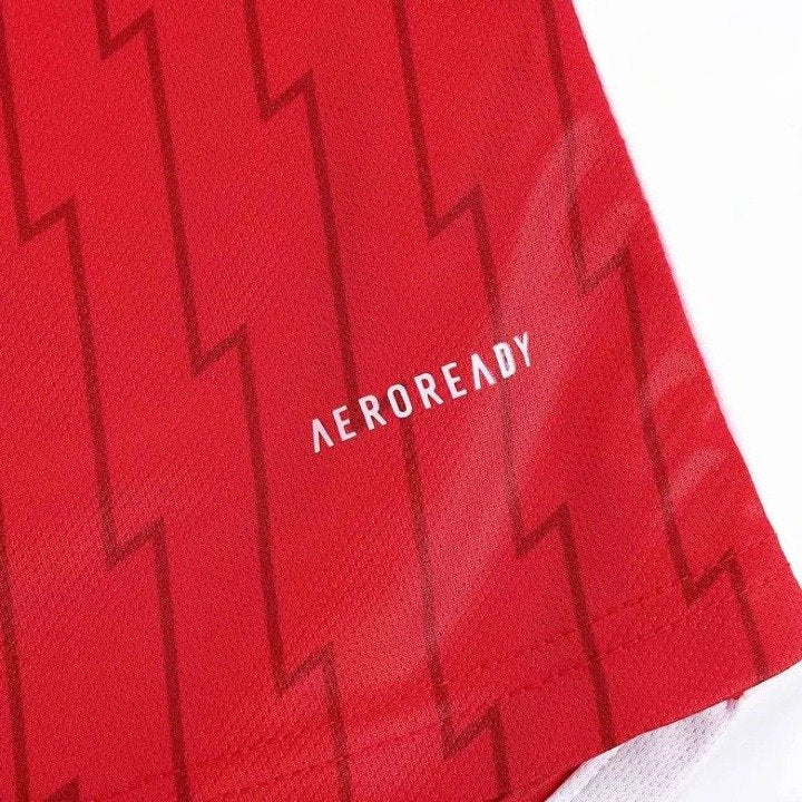 Close-up of Arsenal 23/24 Home Jersey Badge highlighting the embroidered club crest