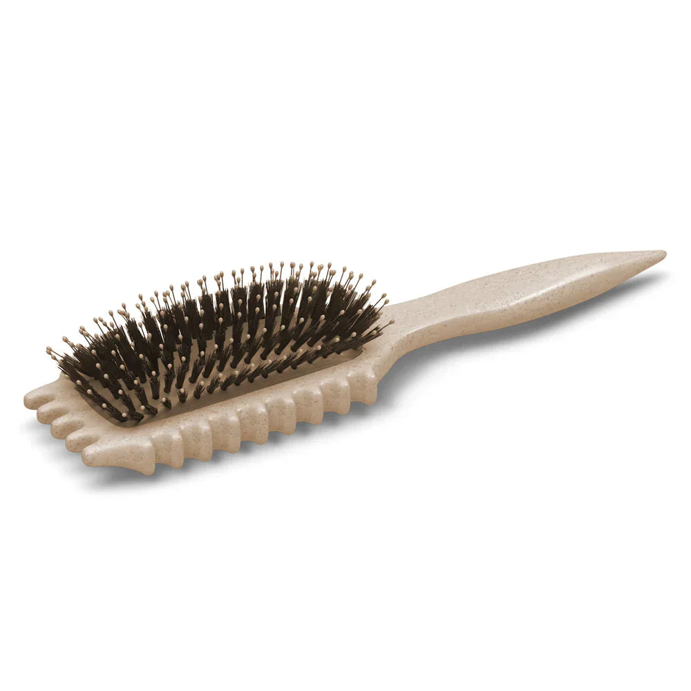 CurlDefine | Anti-Frizz Detangling Brush for Curly Hair