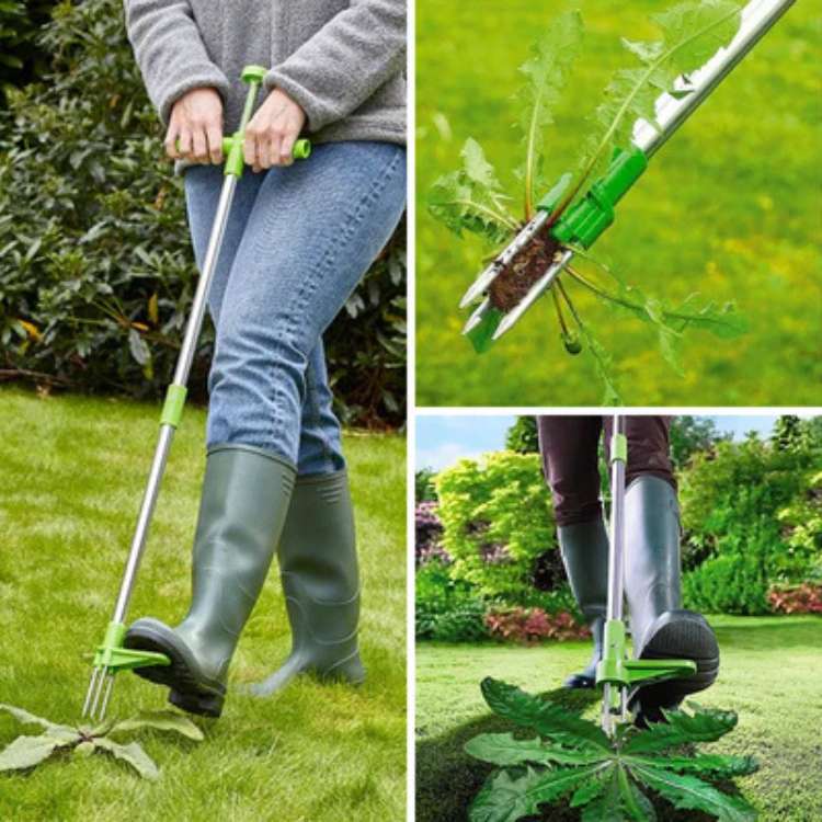 Garden Weed Removal Tool Stainless Steel Root Puller