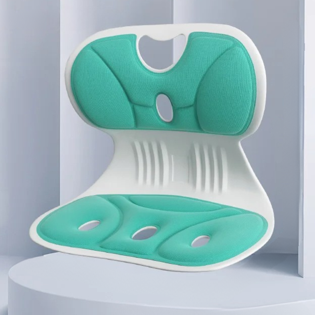 Back Support Cushion for Office Desk Chair