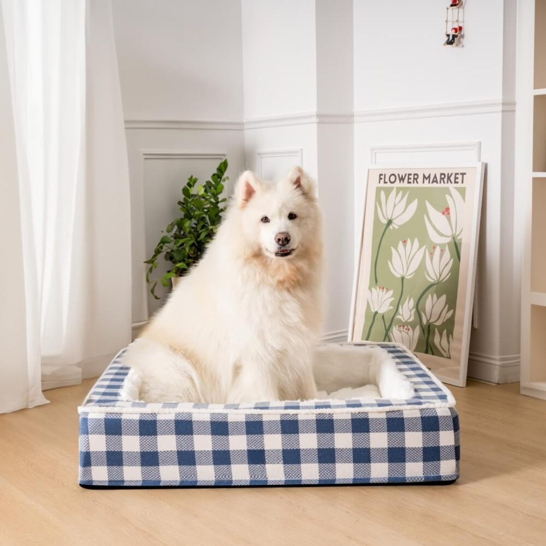 Dog Bed with Foam Support and Plush Lining
