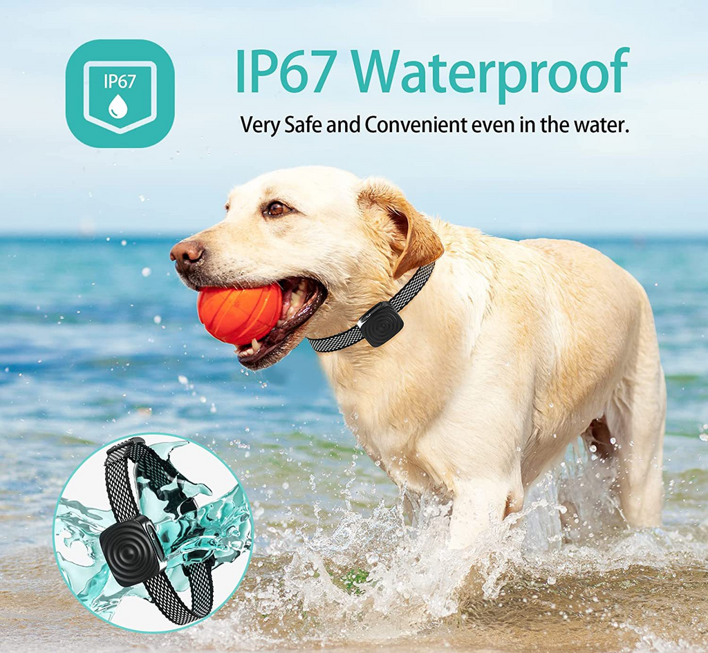 Dog Collar Anti Bark for Small Dogs