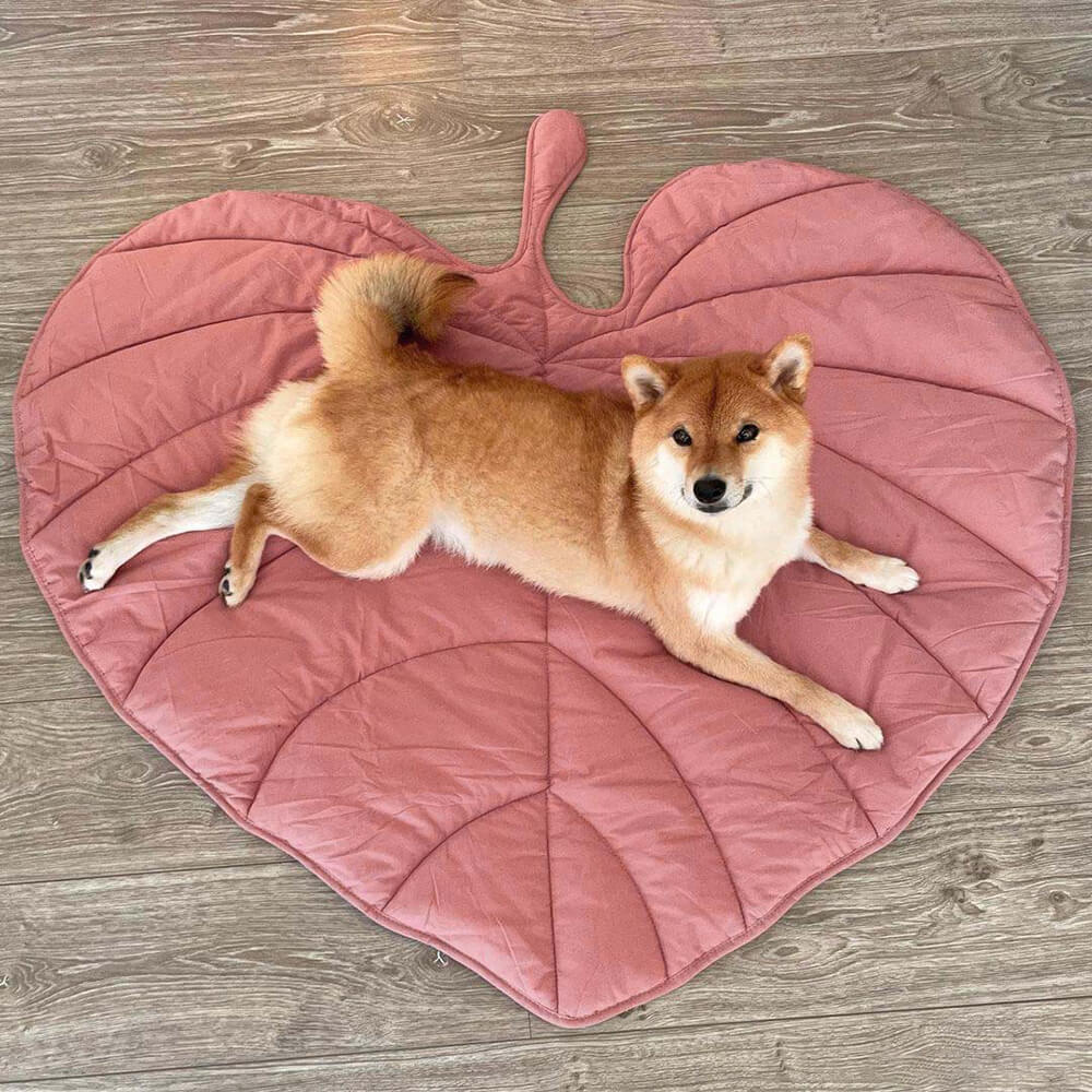 Dog Blanket Mat for Large Pets