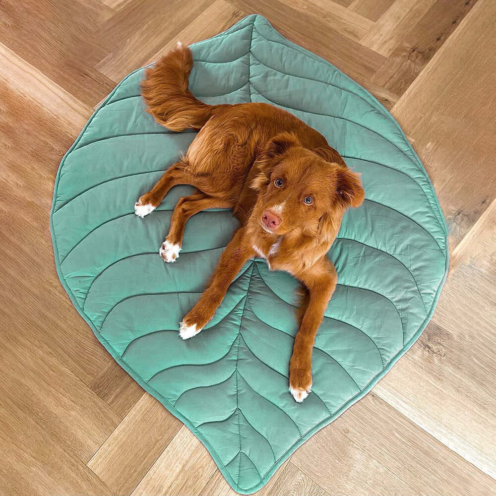Dog Blanket Mat for Large Pets